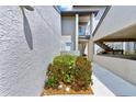 Condo entrance with a landscaped walkway leading to the front door, providing a welcoming first impression at 4611 Duhme Rd # 1A, St Petersburg, FL 33708