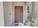 Inviting front entrance with a brown door, doorbell, welcome mat, and potted plant, creating a warm and welcoming first impression at 10524 White Peacock Pl, Riverview, FL 33578
