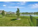 A wrought iron fence encloses a backyard, creating a secure space with serene lake views at 16633 Mooner Plank Cir, Wimauma, FL 33598