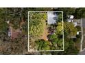 Aerial view of a home surrounded by lush trees and greenery, offering privacy and a natural setting at 1591 S Prospect Ave, Clearwater, FL 33756