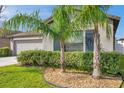 Charming single-story home with lush landscaping and palm trees in the front yard at 4201 Globe Thistle Dr, Tampa, FL 33619