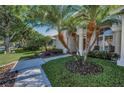 Beautiful home with palm trees and landscaped walkway leading to the front entrance at 4693 Aylesford Dr, Palm Harbor, FL 34685