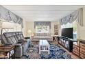 Cozy living room with a blue patterned rug, gray sofa, and ample natural light at 9790 66Th N St # 160, Pinellas Park, FL 33782