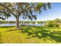 Serene backyard featuring a swing under a mature tree, sloping down to the lake with a boat dock at 18132 Oakdale Rd, Odessa, FL 33556