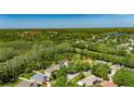 Aerial view showing the home's location in a lush, green neighborhood near a lake at 21744 Waverly Shores Ln, Land O Lakes, FL 34637