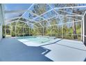 A screened-in pool with blue decking, surrounded by lush greenery and offering privacy at 21744 Waverly Shores Ln, Land O Lakes, FL 34637