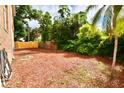The backyard is spacious and features mulch and lush green trees and shrubbery at 441 Lucerne Ave, Tampa, FL 33606