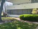 Landscaped condo exterior featuring bright green shrubbery, mature shade trees, a concrete wall, and dark tinted windows at 2583 Countryside Blvd # 3102, Clearwater, FL 33761
