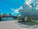 View of this home's driveway leading to the attached garage, lined with mature trees and lush landscaping at 1345 S Evergreen Ave, Clearwater, FL 33756