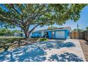 Single-story home featuring a well-maintained lawn, driveway, and beautiful shade tree at 13970 Montego Dr, Seminole, FL 33776