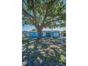 Single-story home featuring a well-maintained lawn and beautiful mature tree at 13970 Montego Dr, Seminole, FL 33776