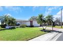 Beautiful home featuring lush green lawn, palm trees, and a colorful walkway to the entrance at 4534 Great Lakes S Dr, Clearwater, FL 33762