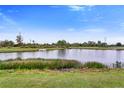 Scenic view of a pond, surrounded by lush greenery and a clear blue sky at 12017 Grand Kempston Dr, Gibsonton, FL 33534