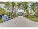 Long driveway leading to a beautiful home with manicured landscaping and gated entrance at 7500 N Ola Ave, Tampa, FL 33604