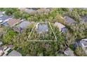 Aerial view of the property surrounded by lush trees and landscaping; outlined in white at 5806 Terncrest Dr, Lithia, FL 33547