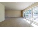 Spacious living room with large windows, carpet, and neutral walls at 601 Riviera Bay Ne Dr, St Petersburg, FL 33702