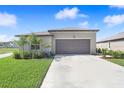 Charming single-story home with a well-manicured lawn, tidy landscaping and an attached two-car garage at 9617 Branching Ship Trce, Wesley Chapel, FL 33545