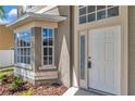 Close-up view of the home's entrance showing the front door and window detailing at 12653 Longcrest Dr, Riverview, FL 33579
