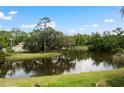 Scenic view of the pond surrounded by lush greenery, enhancing the property's tranquility at 170 Ingrid Pl, Oldsmar, FL 34677