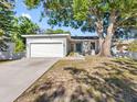 Attractive single-story home featuring mature trees, and a well-manicured lawn at 303 National Orange Ave, Oldsmar, FL 34677