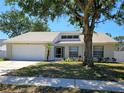 Charming single-story home featuring a two-car garage, well-maintained landscaping, and a welcoming entrance at 12121 Wildbrook Dr, Riverview, FL 33569