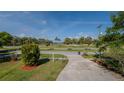 A lush front yard and driveway lead to a scenic view with palm trees, greenery, and a glimpse of the water at 301 1/2 Shore E Dr, Oldsmar, FL 34677
