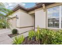 Close-up view of the home's entrance with manicured plants, a large window, and modern door at 6374 Bradford Woods Dr, Zephyrhills, FL 33542