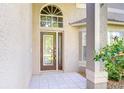 Close-up of the front door showing a glass insert and transom window above at 1632 Gray Bark Dr, Oldsmar, FL 34677