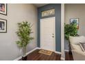 A welcoming foyer features an elegant front door, hardwood floors, and decorative plants at 632 Lake Cypress Cir, Oldsmar, FL 34677