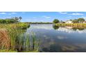 Serene lake view with lush greenery and clear water, offering a peaceful setting at 7201 15Th Ne Ct, St Petersburg, FL 33702