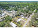 Aerial view showcasing property boundaries, a charming home, and lush surroundings at 827 Louise St, Brandon, FL 33511