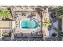 A tranquil courtyard pool is surrounded by sun loungers and lush, tropical landscaping at 3206 W Azeele St # 126, Tampa, FL 33609