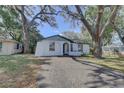Cozy home with mature trees, blue door, and well-maintained front yard at 2009 E Eskimo Ave, Tampa, FL 33604