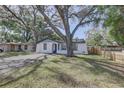 Charming home with mature trees shading the front yard and a welcoming facade at 2009 E Eskimo Ave, Tampa, FL 33604