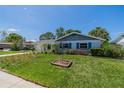 Quaint single-story home featuring blue shutters, a lush green lawn, and tidy landscaping, perfect for curb appeal at 8421 Millwood Dr, Tampa, FL 33615