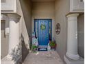 Close up of welcoming front door framed by decorative columns with seasonal décor at 13302 Trailing Moss Dr, Dade City, FL 33525