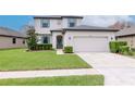 Charming two-story home featuring a well-manicured lawn and a two-car garage at 8219 Summer Brook Ct, Land O Lakes, FL 34638