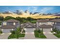 Charming single-Gathering homes with two-car garages, manicured lawns, and beautiful landscaping at 20659 Drake Elm Dr, Land O Lakes, FL 34638