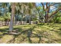 Expansive back yard featuring mature trees and a wooden fence around the perimeter at 2049 Broadway, Clearwater, FL 33755