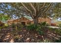 Charming single-story home with beautiful landscaping and mature shade tree in front yard at 4868 Lake Valencia E Blvd, Palm Harbor, FL 34684