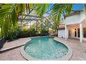 A screened-in pool area featuring a uniquely shaped pool surrounded by a paved patio and lush greenery at 772 Live Oak Ne Ter, St Petersburg, FL 33703