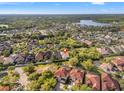 An aerial view of a residential area with lake, showcasing the property's location at 11611 Meridian Point Dr, Tampa, FL 33626