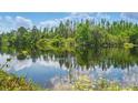 Picturesque view of a tranquil pond reflecting the sky and surrounding trees at 11712 Winterset Cove Dr, Riverview, FL 33579