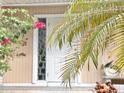 Close-up of a front door with sidelight, framed by decorative foliage and a palm tree at 12432 81St Ct, Seminole, FL 33772
