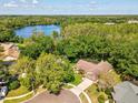 Scenic aerial view of a beautiful home near a lake surrounded by lush greenery at 13806 Sumac Pl, Tampa, FL 33625