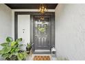 Close-up of a stylish front door with wreath and lantern, complemented by decorative plants at 1705 Cinnabar Ct, Brandon, FL 33510