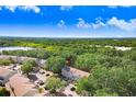Aerial view of the townhome nestled among lush greenery, showcasing the community and nearby lake at 2418 Lake Woodberry Cir, Brandon, FL 33510