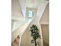 Curved staircase with modern chandelier and a potted tree for a contemporary look at 4716 W Lawn Ave, Tampa, FL 33611
