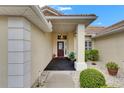 Home entryway featuring a red door with glass and decorative plants at 2017 S Pebble Beach Blvd, Sun City Center, FL 33573
