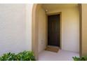 Inviting front entryway featuring a dark wooden door, neutral stucco walls, and fresh green landscaping at 29002 Trevi Pl, Wesley Chapel, FL 33543
